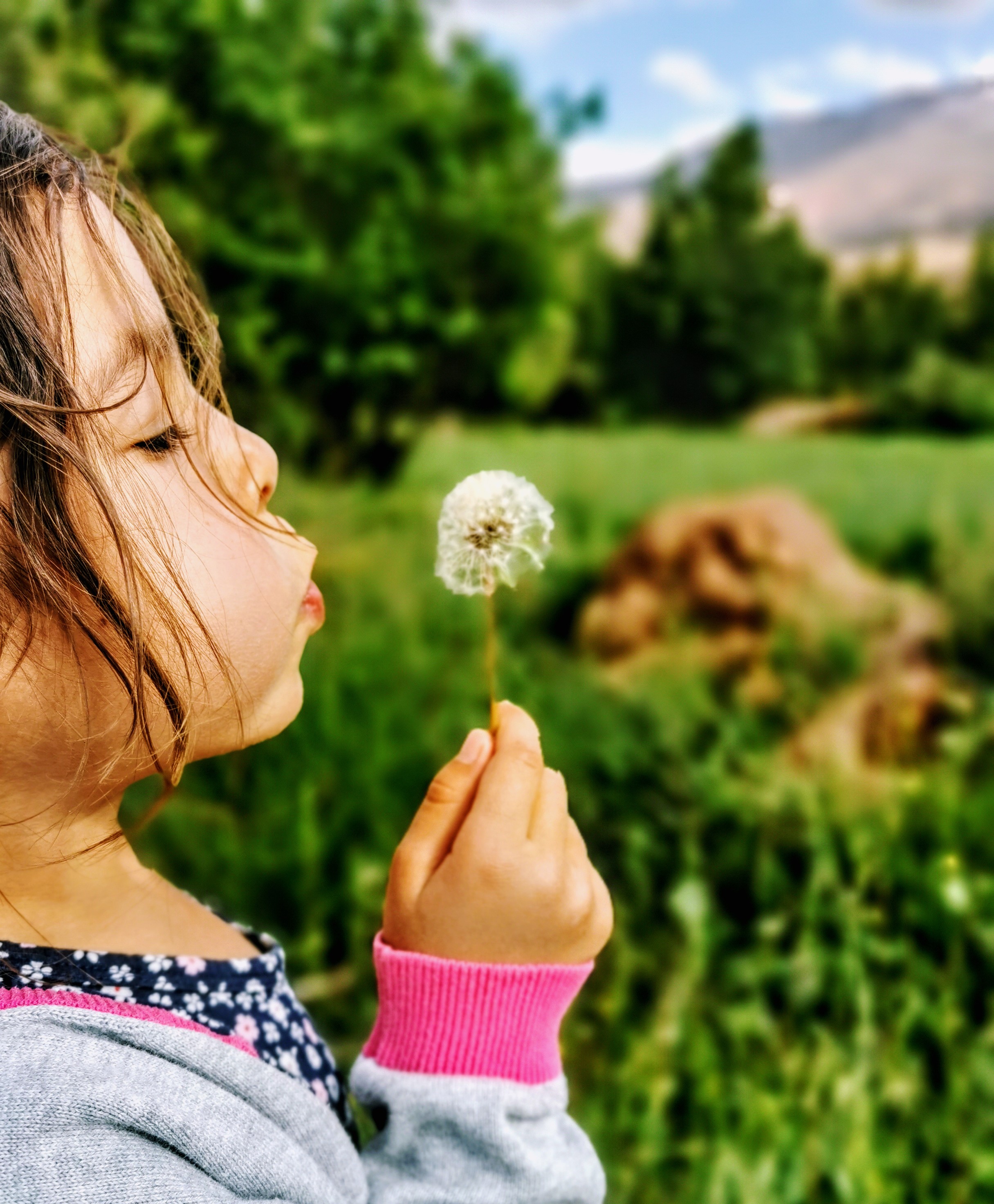 Permakultur im Schulunterricht - wir wurden nominiert als Best Practice Beispiel! 